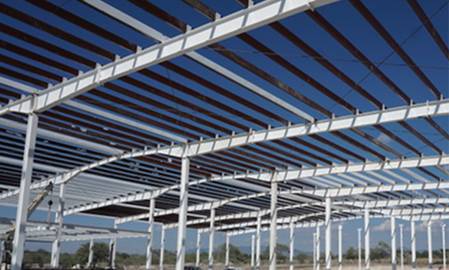 Empaque UVA Grupo Alta