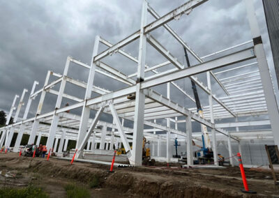 Planta Solidos Liomont